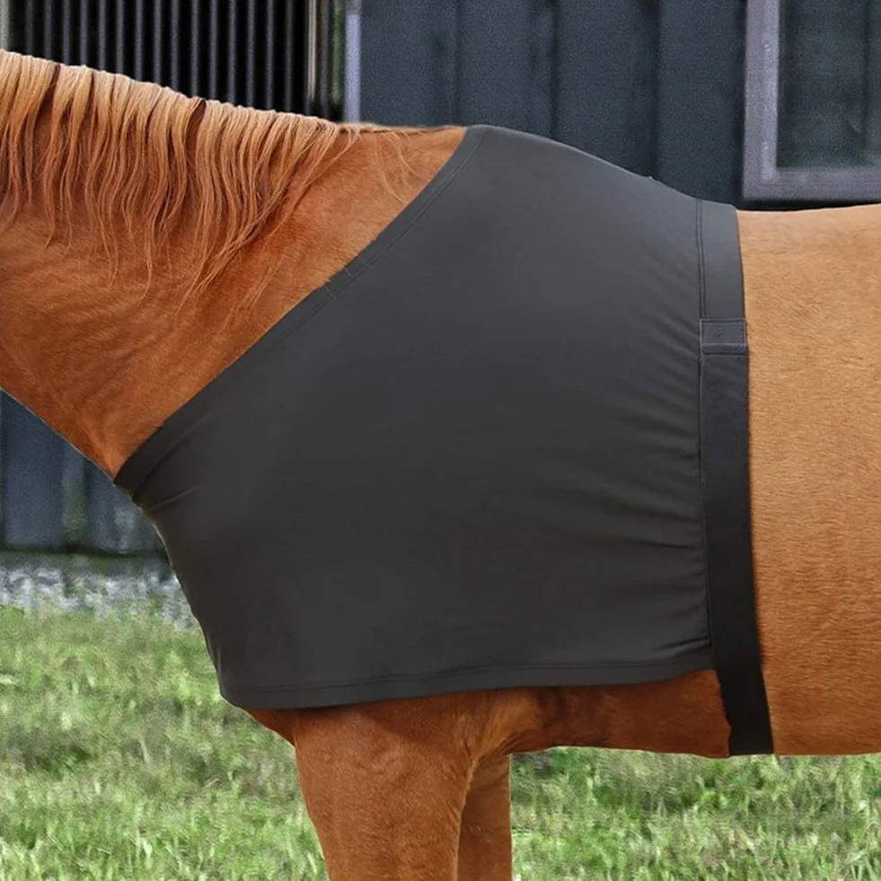 Protection de poitrine de cheval, gilet extensible anti-frottement, protection d'épaule pour chevaux pour aider à la guérison des plaies