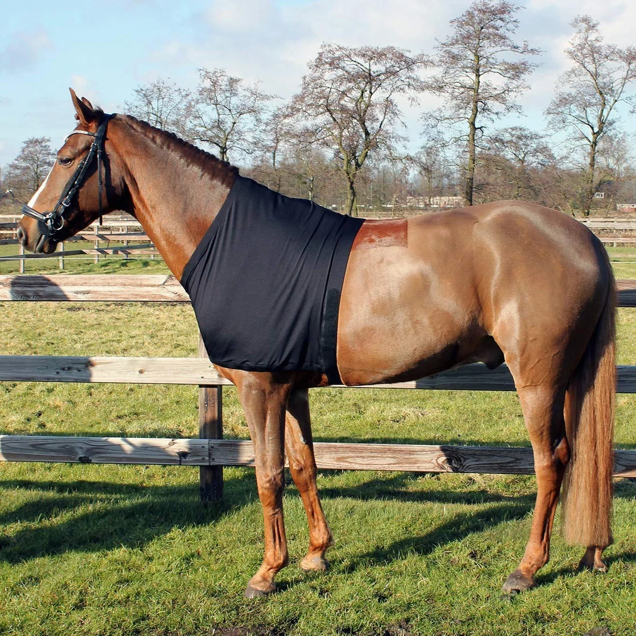 QHP Protection Poitrine et épaules en élasthanne