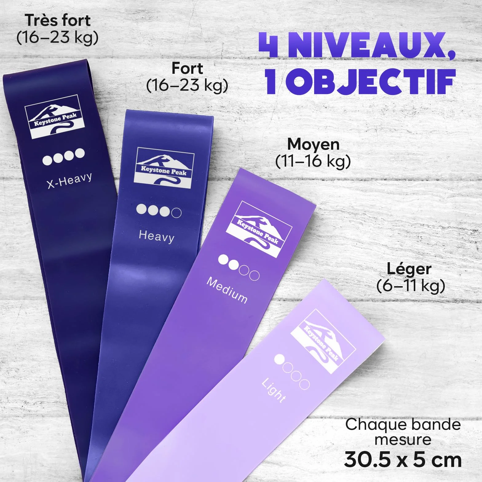 Kit Pilates Maison – Cercle Pilates Accessoires avec Mini Ballon, 4 Bandes de Résistance, Poster & Sac – Équipement pour Renforcement Musculaire, Gainage & Yoga à Domicile