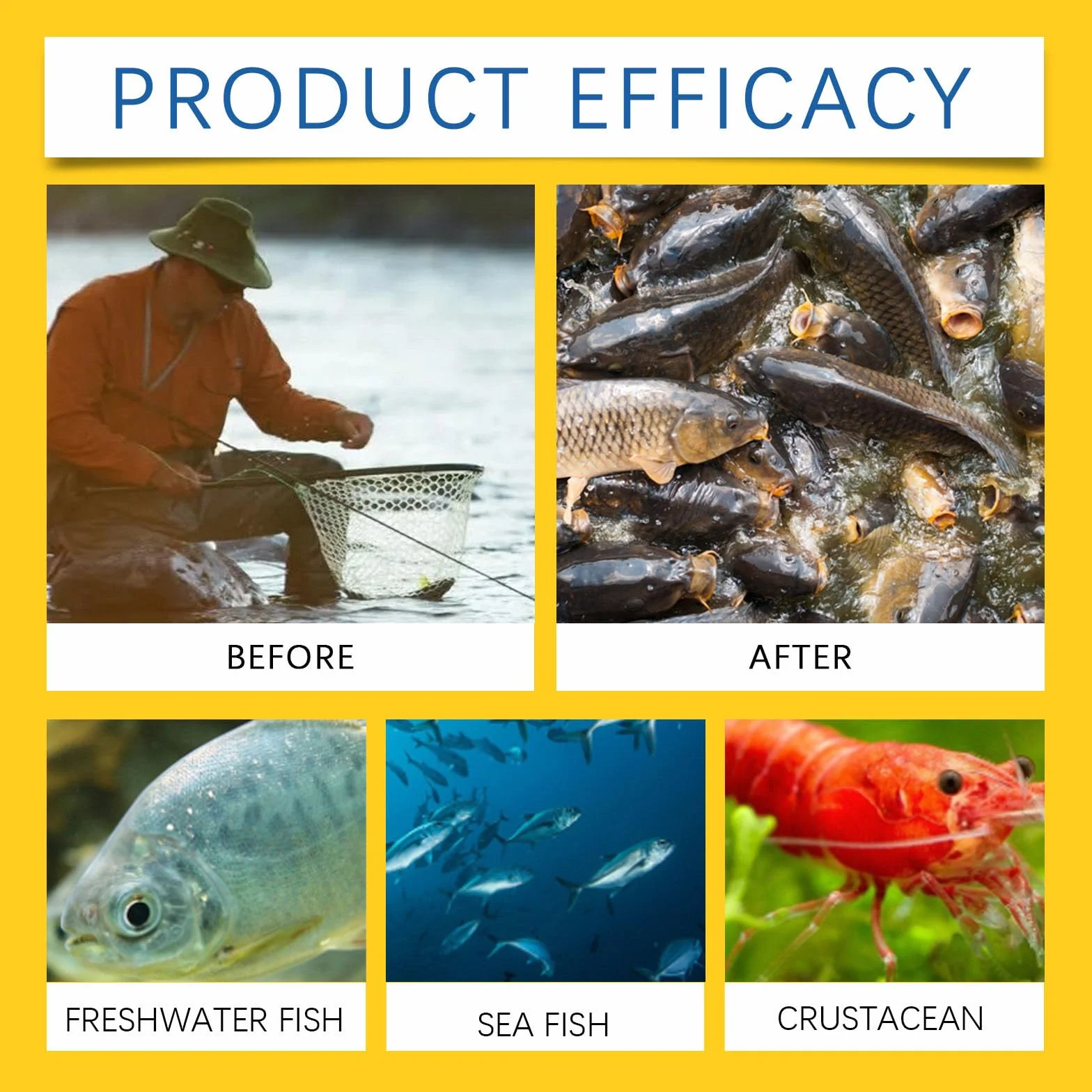 Concentrated Fish Attractant Liquid, Red Worm Formula Fishing Scent Bait Additive, 100ml Fish Point Liquid for Freshwater Fishing Trout Panfish