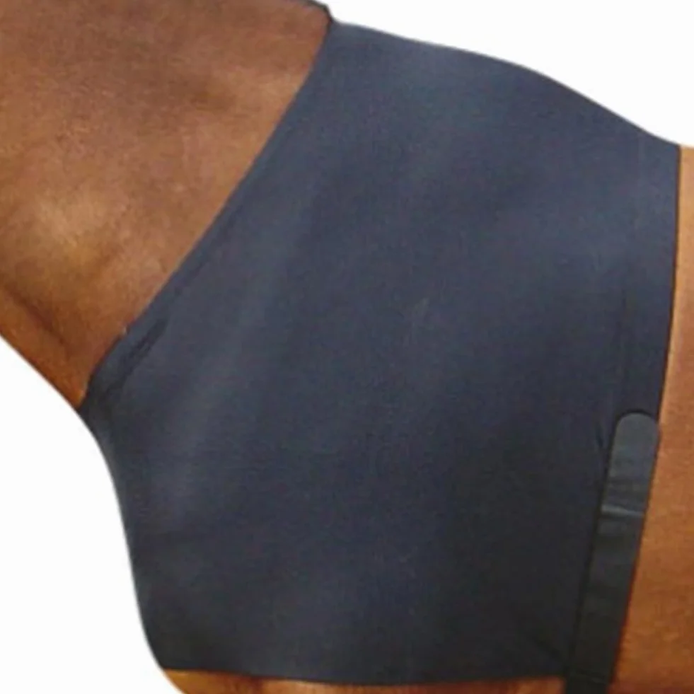 Protection de poitrine de cheval, gilet extensible anti-frottement, protection d'épaule pour chevaux pour aider à la guérison des plaies
