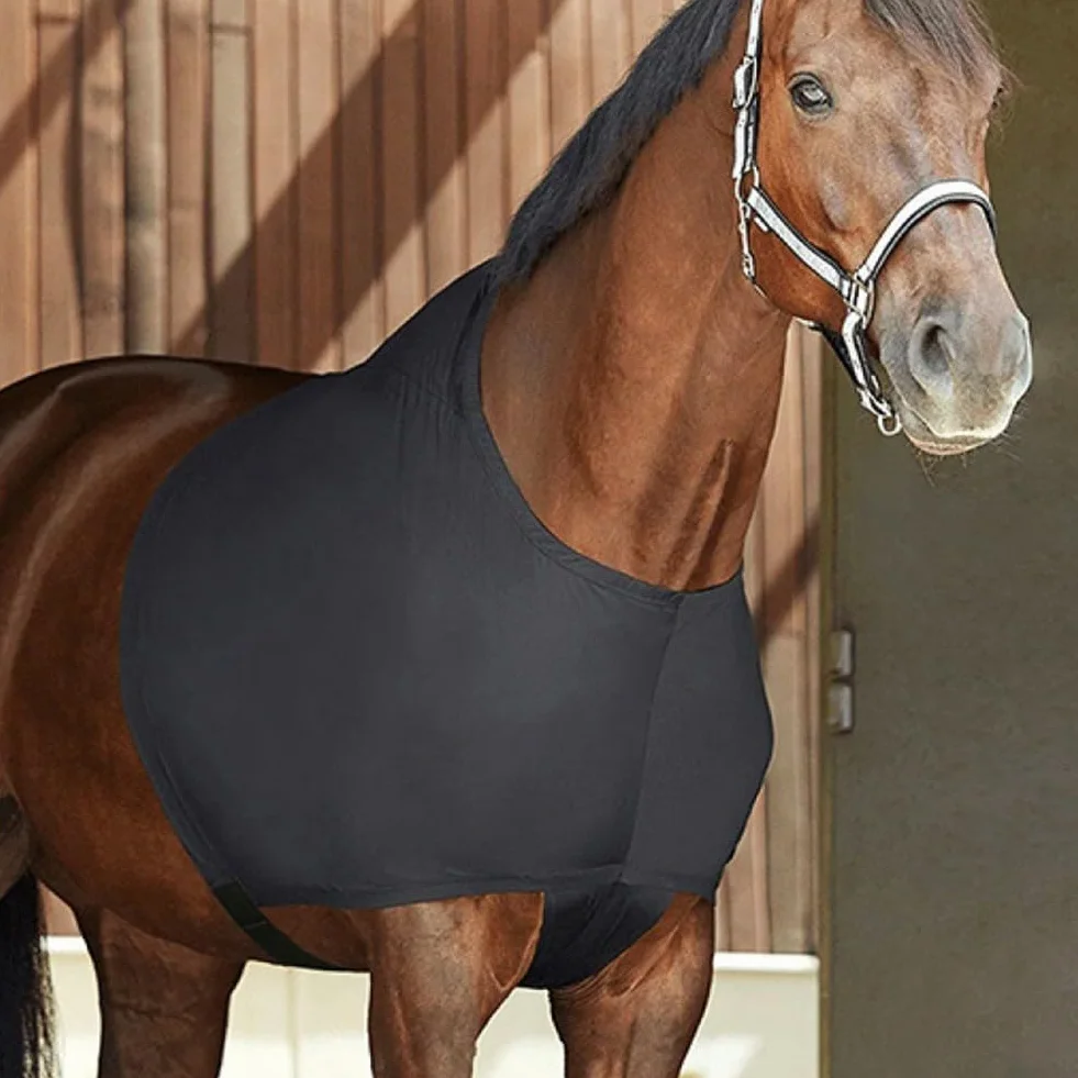 Protection de poitrine de cheval, gilet extensible anti-frottement, protection d'épaule pour chevaux pour aider à la guérison des plaies
