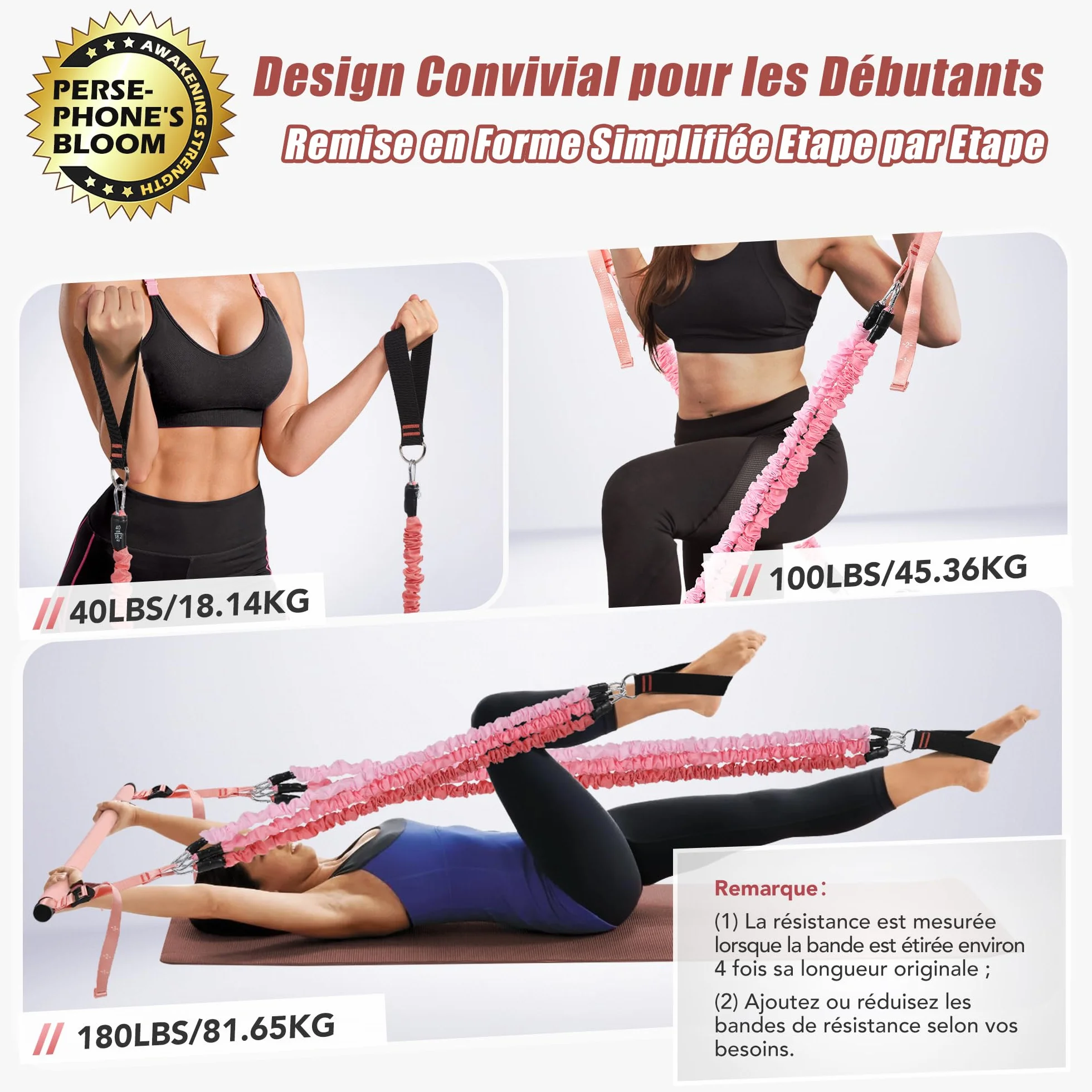 ALongSong Elastiques de Musculation Barre de Pilates avec 6 Bandes de Résistance Élastique 180LBS ou 240LBS Ancrage de Porte Réglable Amovible pour Sport Maison Fitness Yoga Étirement Squat