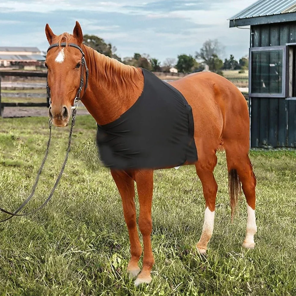 Protection de poitrine de cheval, gilet extensible anti-frottement, protection d'épaule pour chevaux pour aider à la guérison des plaies