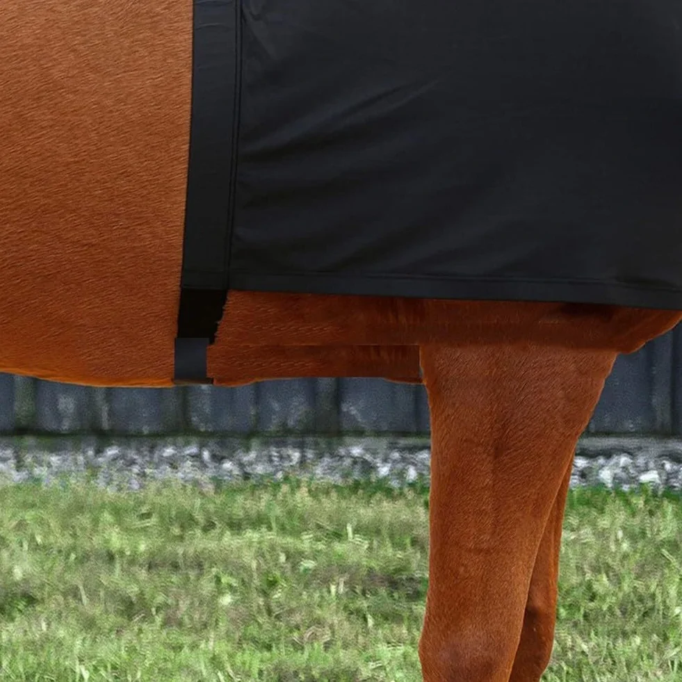 Protection de poitrine de cheval, gilet extensible anti-frottement, protection d'épaule pour chevaux pour aider à la guérison des plaies